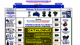 What Everyvalve.com website looked like in 2020 (5 years ago)