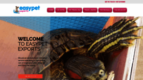What Easypetexports.com website looked like in 2020 (3 years ago)