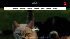 What Effeffe.com.tr website looked like in 2020 (3 years ago)