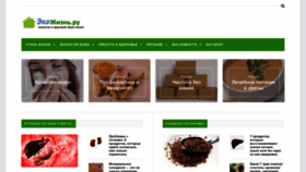 What Eko-jizn.ru website looked like in 2021 (3 years ago)