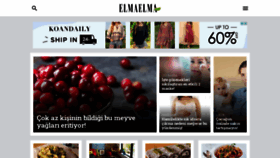 What Elmaelma.com website looked like in 2021 (3 years ago)