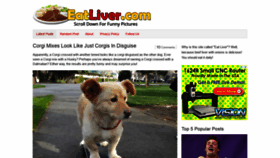 What Eatliver.com website looked like in 2021 (3 years ago)