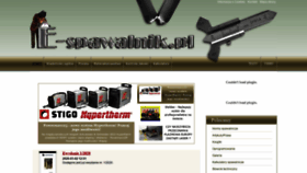What E-spawalnik.pl website looked like in 2021 (3 years ago)