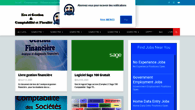 What Economiste-ici.com website looked like in 2021 (3 years ago)