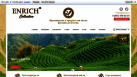 What Enrichtea.ru website looked like in 2021 (3 years ago)