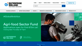 What Enterprise-ireland.com website looked like in 2021 (3 years ago)