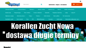 What Erybka.pl website looked like in 2021 (3 years ago)
