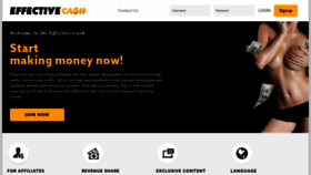 What Effectivecash.com website looked like in 2021 (3 years ago)
