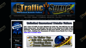 What Etrafficsurge.com website looked like in 2021 (3 years ago)