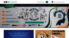 What Ecohoy.com website looked like in 2021 (4 years ago)