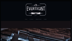 What Evertrust.it website looked like in 2021 (2 years ago)