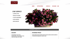 What Edna-group.com website looked like in 2021 (2 years ago)