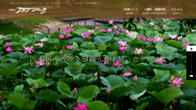 What E-flowerpark.com website looked like in 2021 (4 years ago)