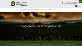 What Eregliagrosan.com website looked like in 2021 (2 years ago)