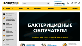 What Electrictd.ru website looked like in 2021 (2 years ago)