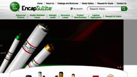 What Encapsulite.com website looked like in 2021 (2 years ago)