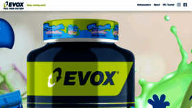 What Evox.co.za website looked like in 2021 (2 years ago)