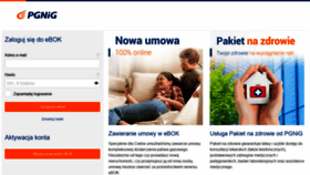 What Ebok.pgnig.pl website looked like in 2021 (2 years ago)