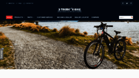What Electricbicycle.com website looked like in 2021 (2 years ago)