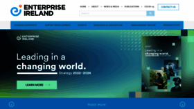 What Enterprise-ireland.com website looked like in 2022 (2 years ago)