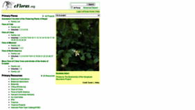 What Efloras.org website looked like in 2022 (2 years ago)