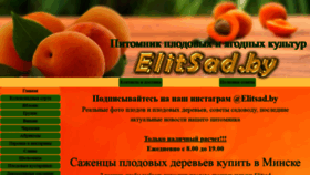 What Elitsad.by website looked like in 2022 (2 years ago)