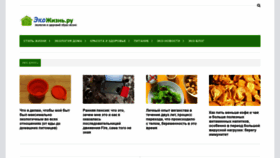 What Eko-jizn.ru website looked like in 2022 (1 year ago)