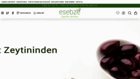 What Esebze.com website looked like in 2022 (1 year ago)