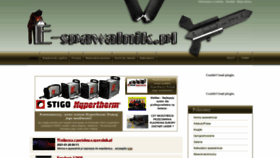 What E-spawalnik.pl website looked like in 2022 (1 year ago)