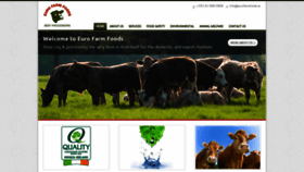 What Eurofarmfoods.ie website looked like in 2022 (1 year ago)