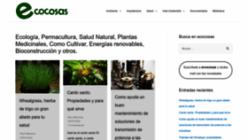What Ecocosas.com website looked like in 2022 (1 year ago)