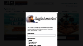 What Eagleamerica.com website looked like in 2022 (1 year ago)