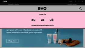 What Evohair.com website looked like in 2022 (1 year ago)