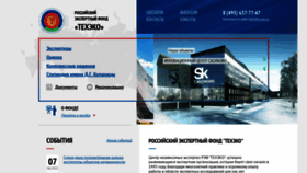 What Expert-center.ru website looked like in 2022 (1 year ago)
