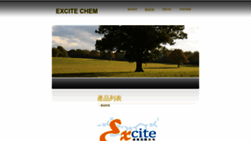 What Excitechem.com website looked like in 2022 (1 year ago)