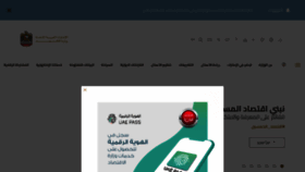 What Economy.gov.ae website looked like in 2022 (1 year ago)