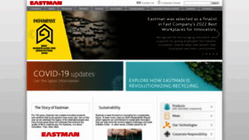 What Eastman.com website looked like in 2022 (1 year ago)