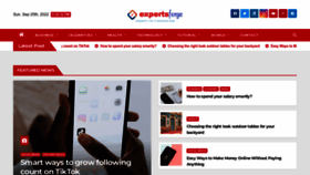 What Expertsforge.com website looked like in 2022 (1 year ago)
