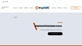 What Eyotek.com website looked like in 2022 (1 year ago)