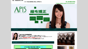 What Eapis.jp website looked like in 2022 (1 year ago)