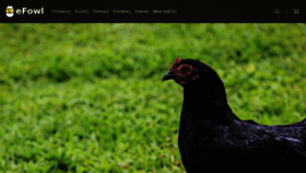 What Efowl.com website looked like in 2023 (1 year ago)
