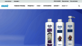 What Ersagglobal.kg website looked like in 2023 (3 years ago)