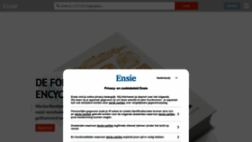 What Ensie.nl website looked like in 2023 (1 year ago)