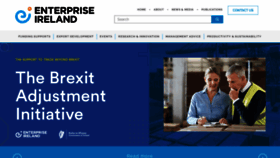 What Enterprise-ireland.com website looked like in 2023 (1 year ago)