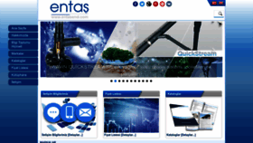 What Entasend.com website looked like in 2023 (1 year ago)