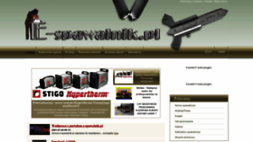 What E-spawalnik.pl website looked like in 2023 (1 year ago)