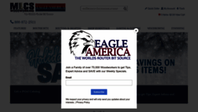 What Eagleamerica.com website looked like in 2023 (1 year ago)