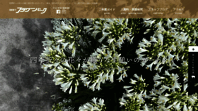 What E-flowerpark.com website looked like in 2023 (3 years ago)