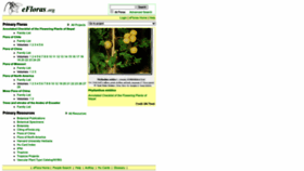 What Efloras.org website looked like in 2023 (1 year ago)