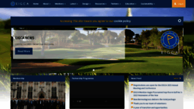 What Eigca.org website looked like in 2023 (1 year ago)